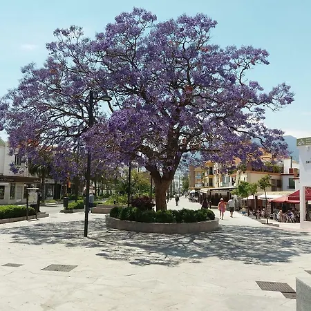 Alegranza Apartamento